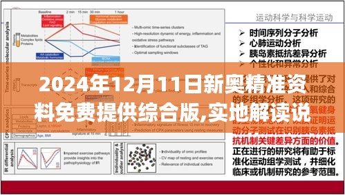 揭秘2024新奥精准资料免费大全第078期,讲解词语解释释义