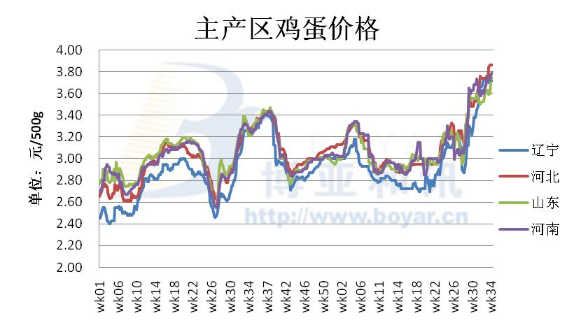 鸡蛋最新行情分析